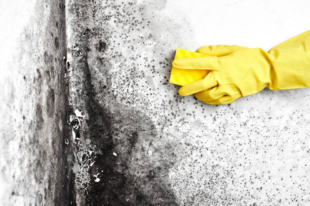 Water Damage Restoration in Lincoln, ND