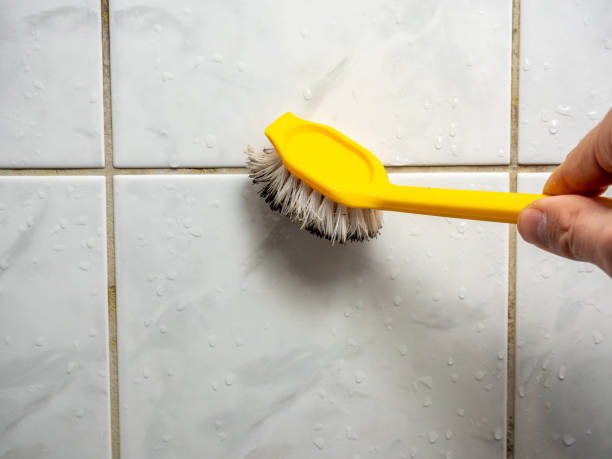 Best Attic Mold Removal  in Lincoln, ND
