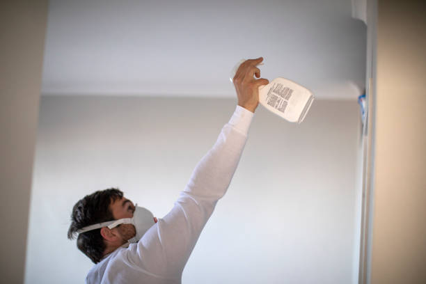 Best Mold Testing  in Lincoln, ND
