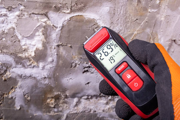 Best Crawl Space Mold Removal  in Lincoln, ND