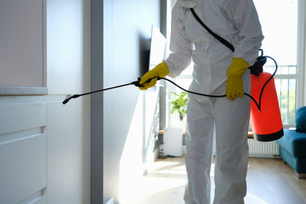 Best Mold Cleaning Services  in Lincoln, ND