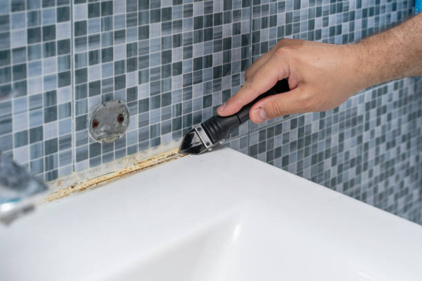 Best Residential Mold Removal  in Lincoln, ND