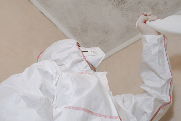 Best Professional Mold Removal  in Lincoln, ND