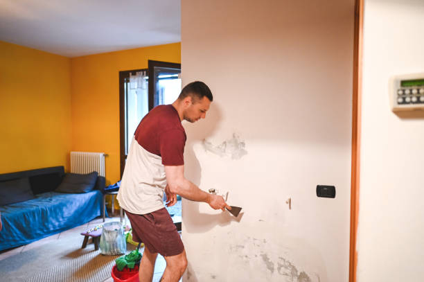 Best Local Mold Removal Service  in Lincoln, ND